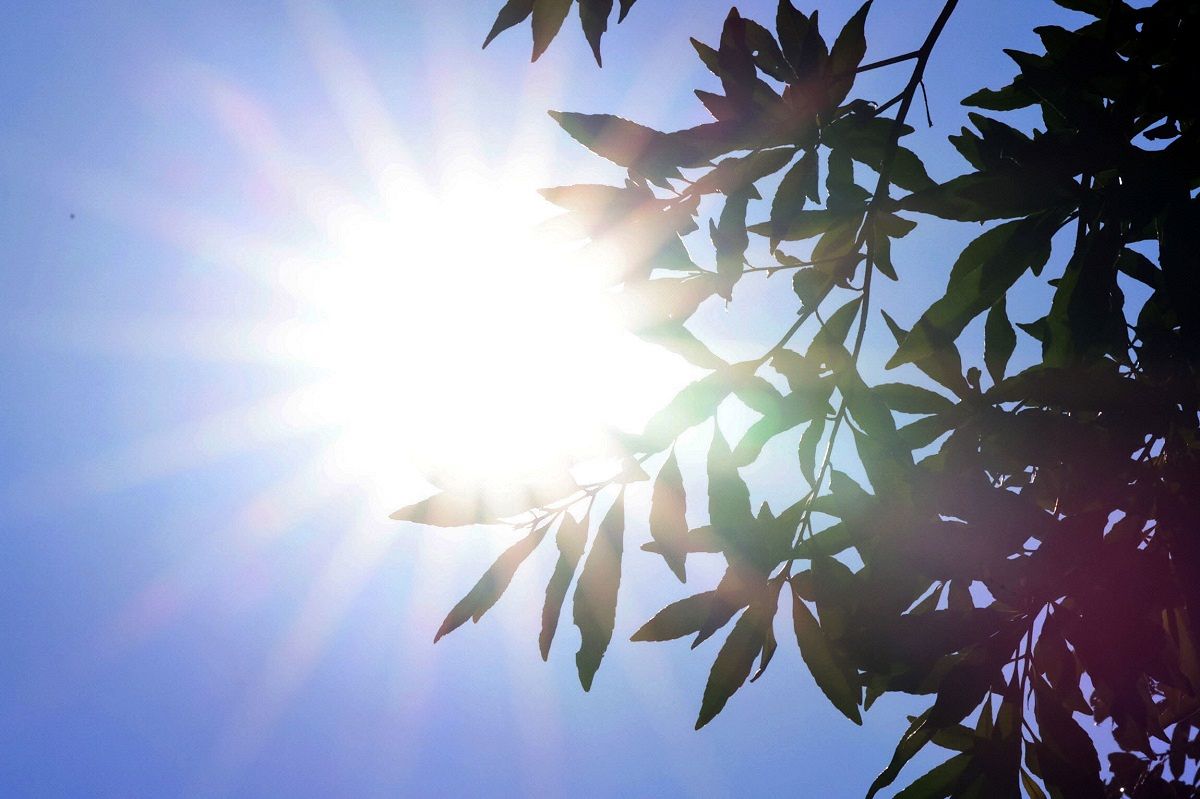 暑さ東南アジア並み 働けぬ夏!!